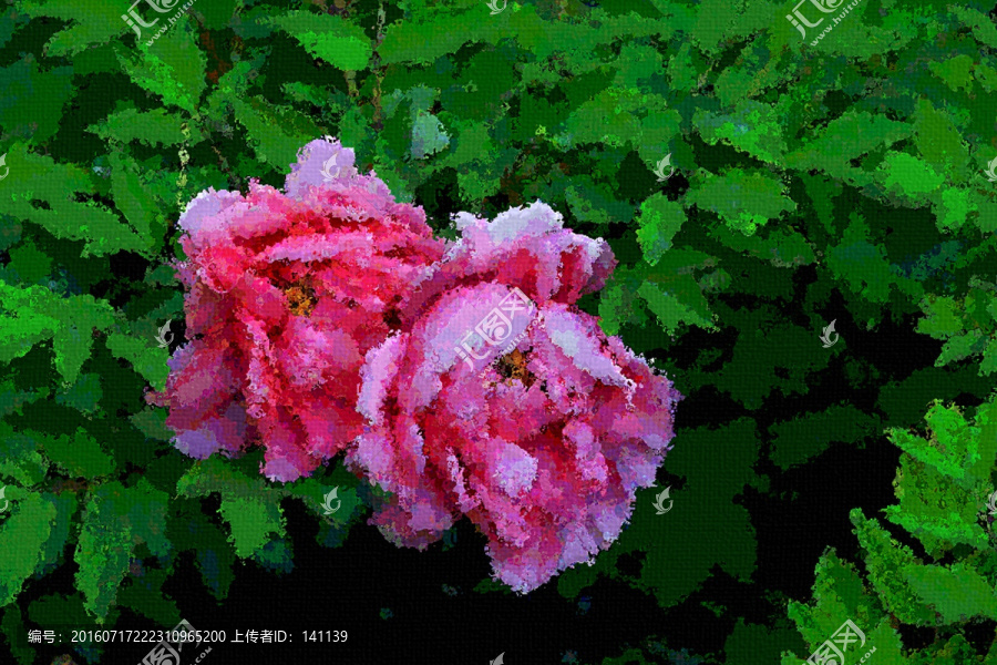 牡丹花油畫(huà)