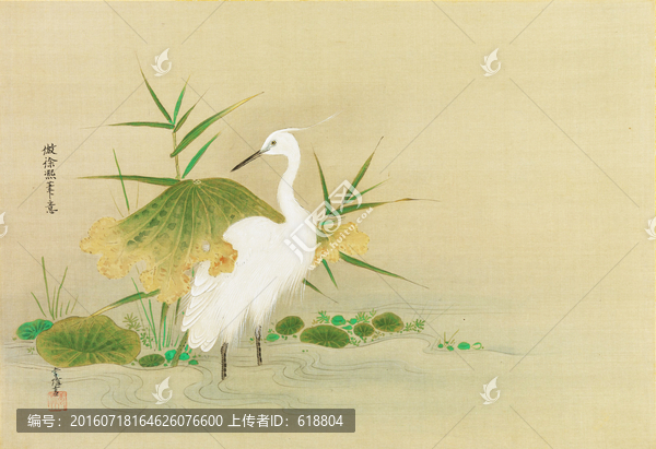 日本花鳥風(fēng)景畫,高清品質(zhì)
