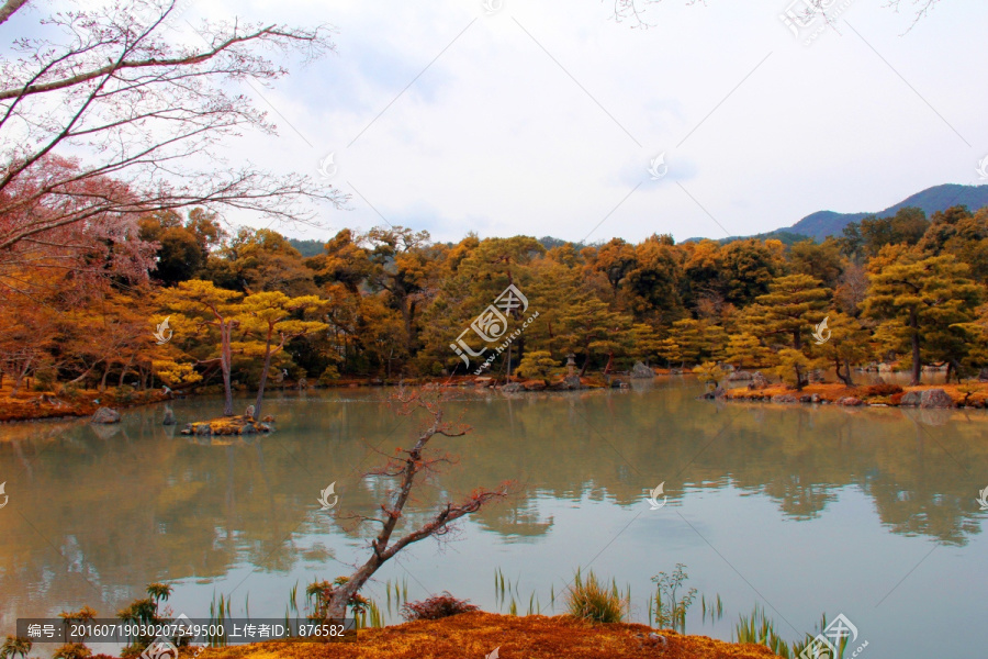 日本金阁寺