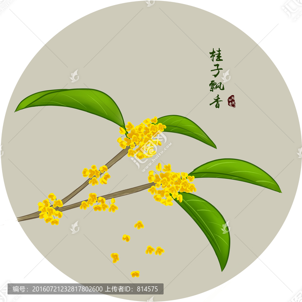 桂花