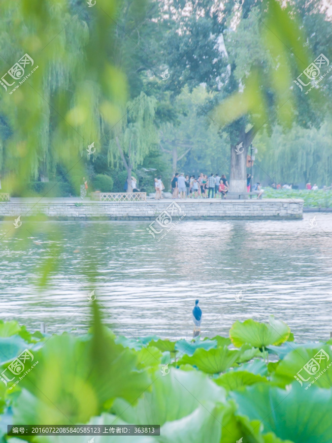 夏日明湖