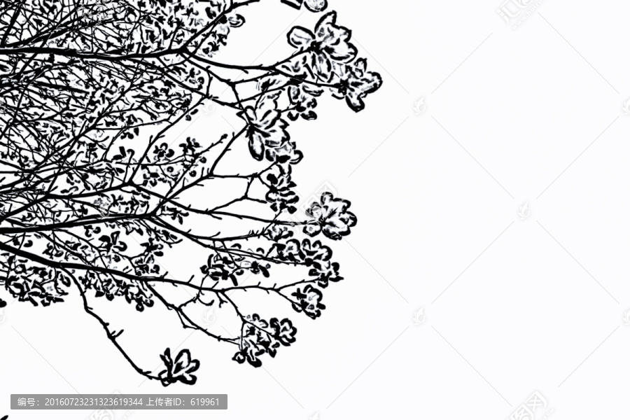 黑白抽象花枝