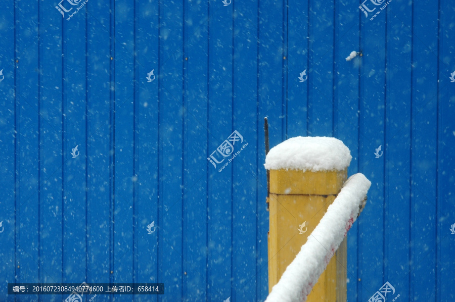 雪中静物