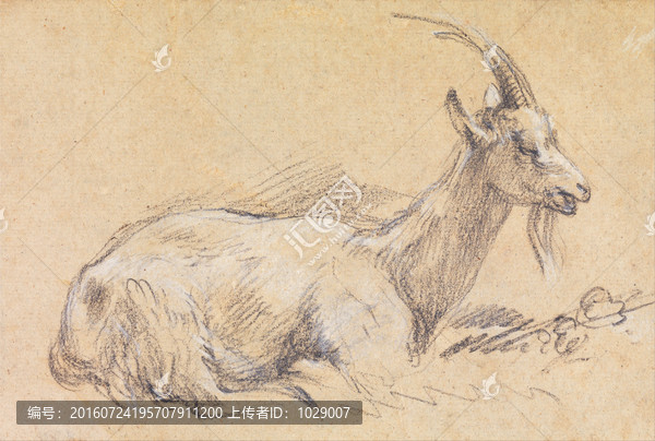 古老的動物素描手稿