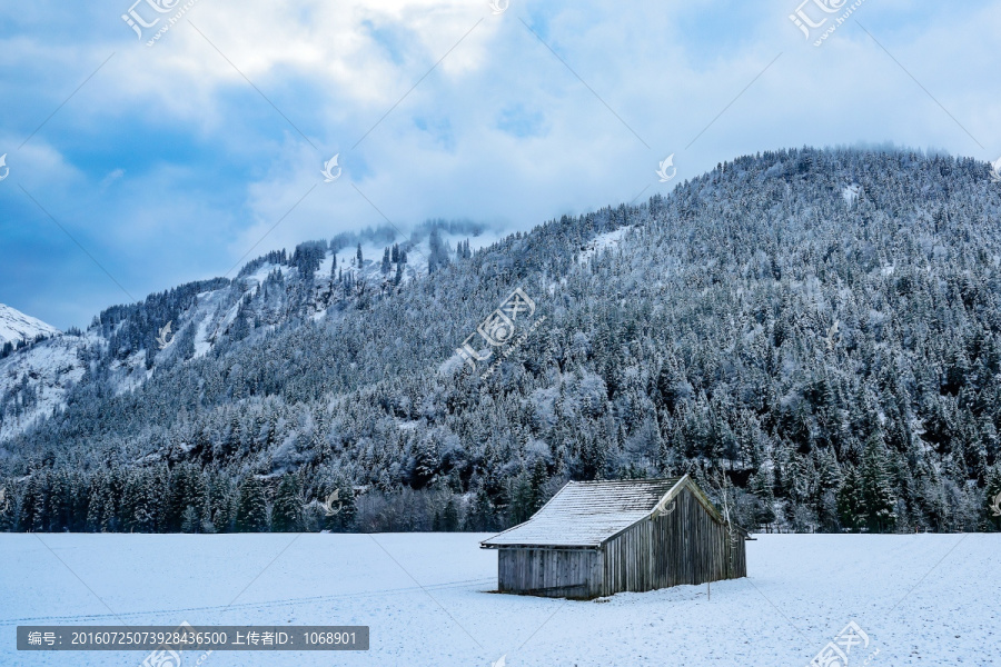 雪山,木屋,森林