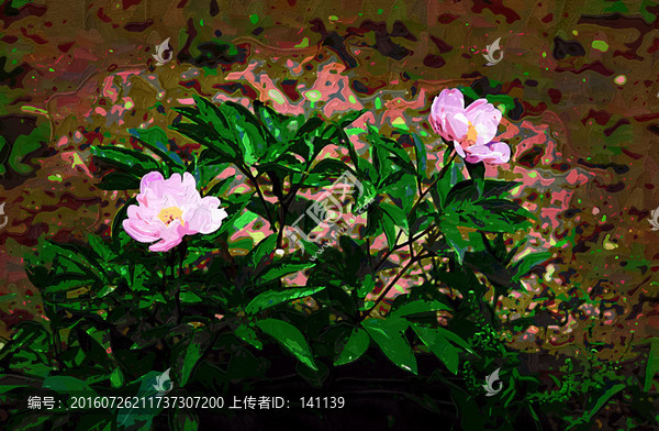 牡丹花油画