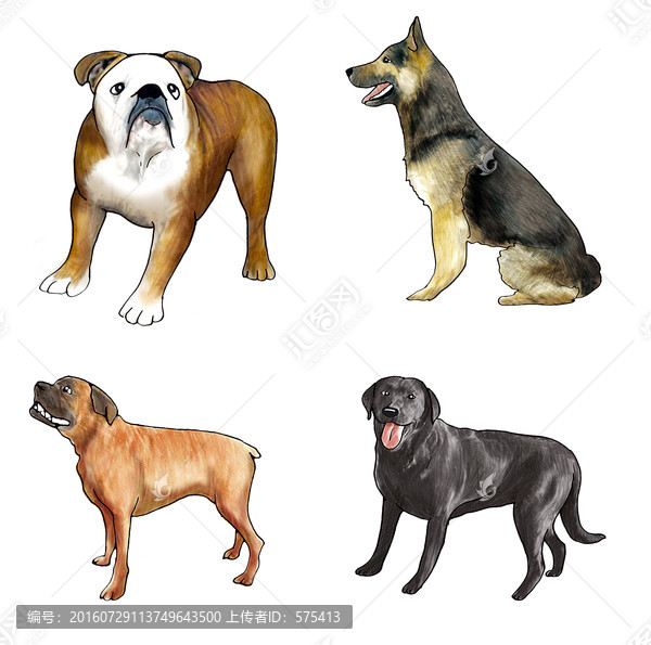 狗狗
