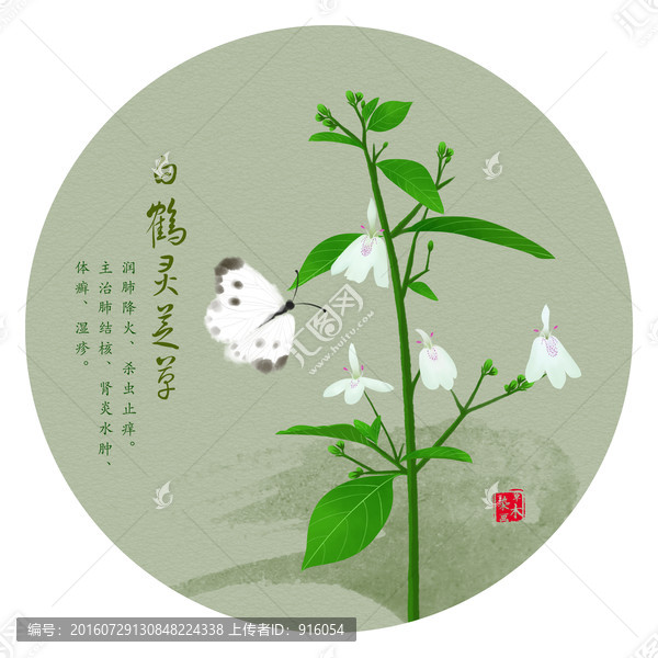 手绘白鹤灵芝草,中药包装