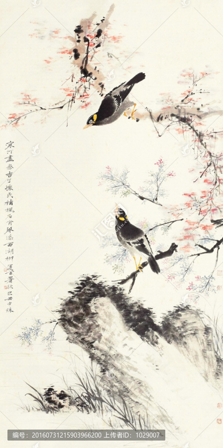 中式花鳥圖