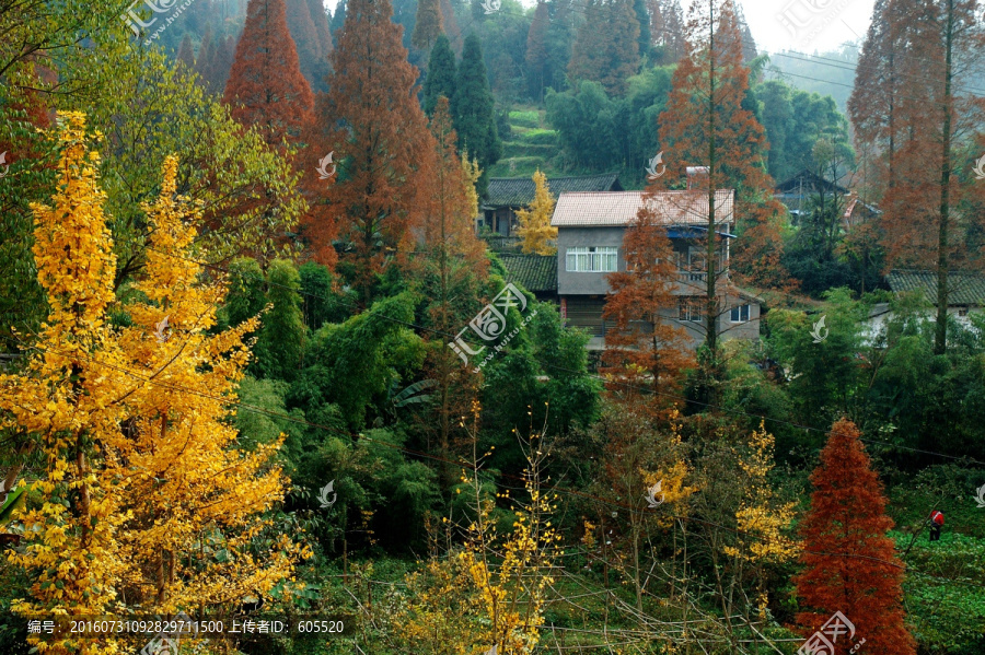 五彩山村