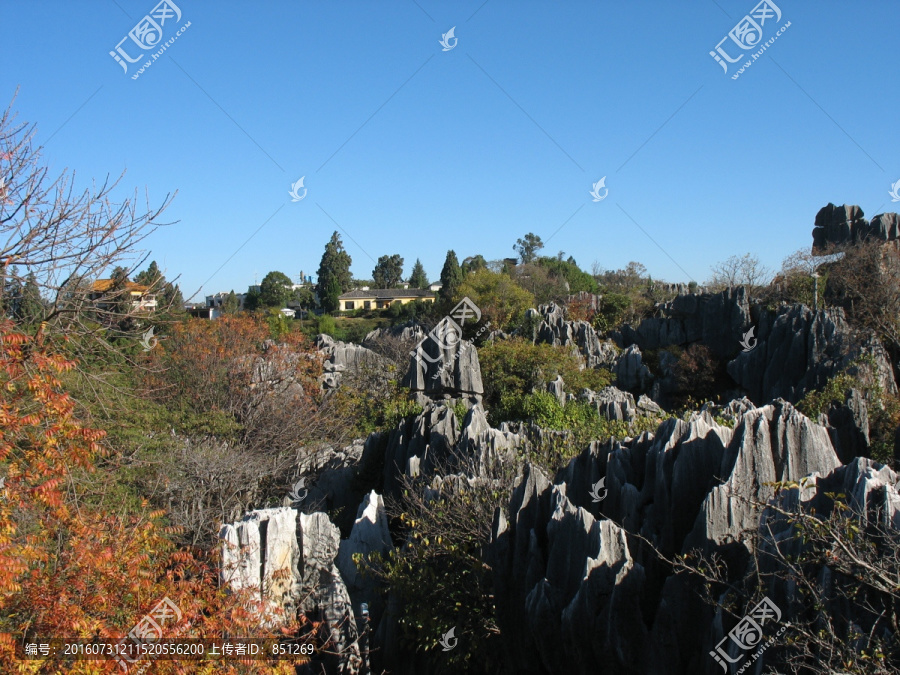 石林风景