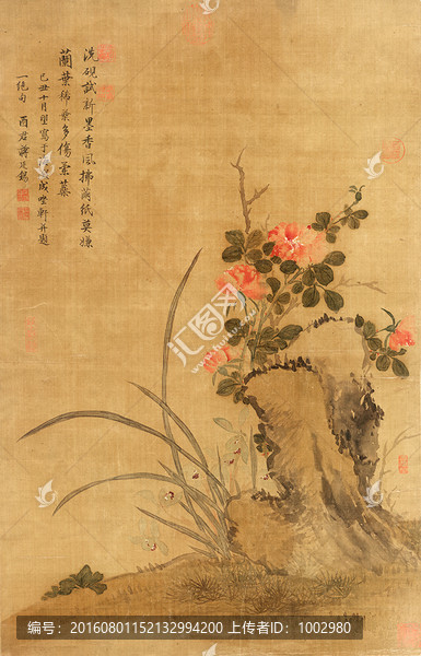清,蔣廷錫,蘭花月季