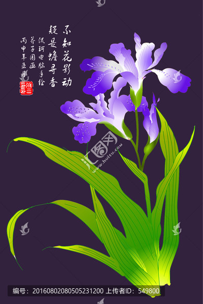 蝴蝶花