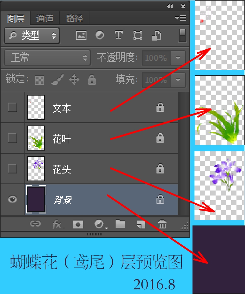 蝴蝶花