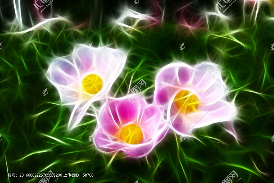電腦畫,芍藥花