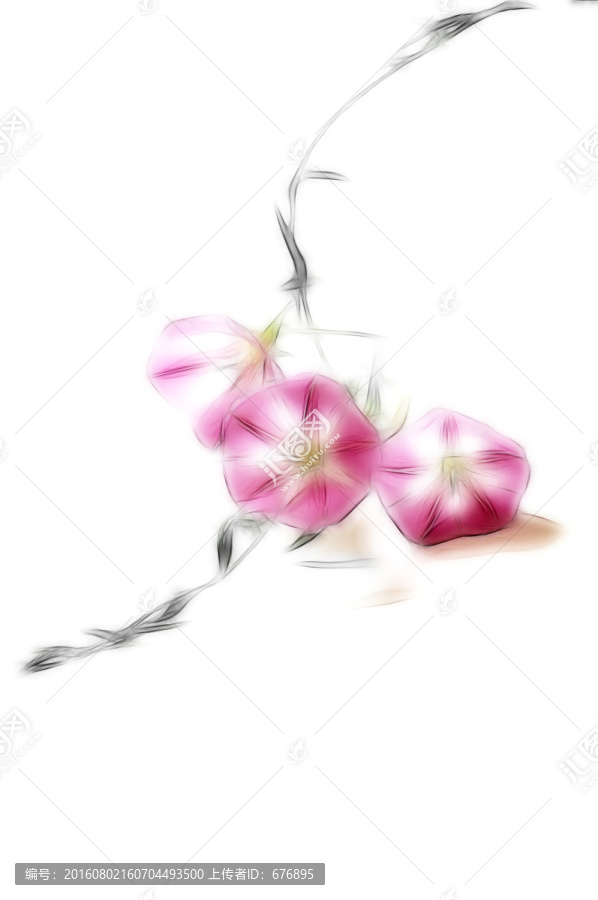 三朵花素材