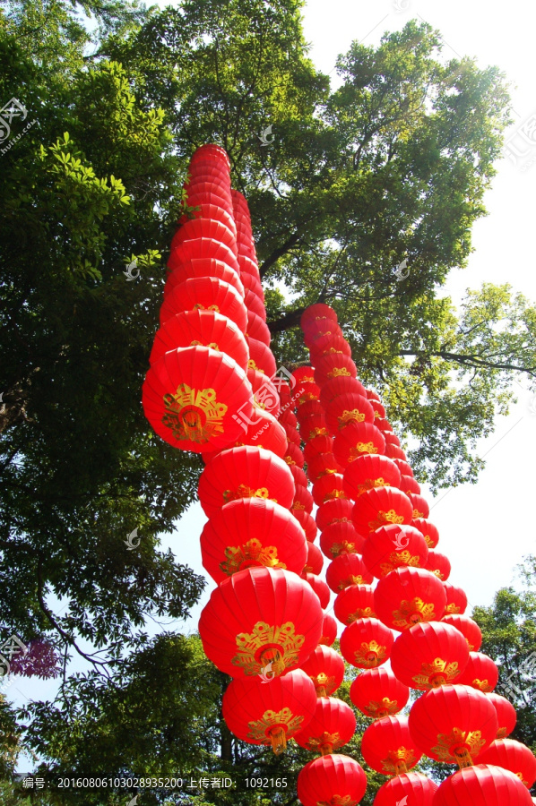 紅燈籠
