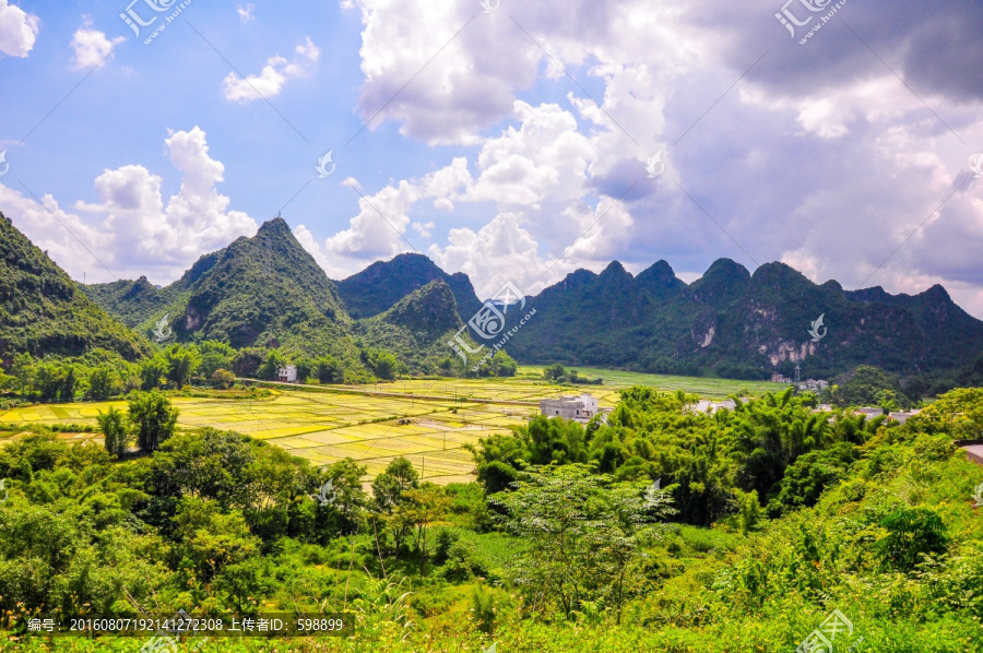 广西农田风景