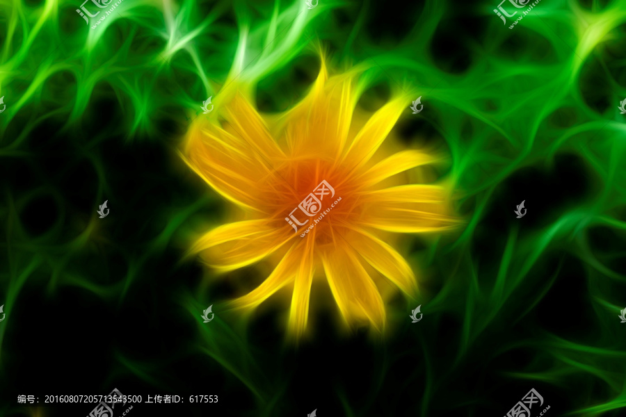 菊花叢