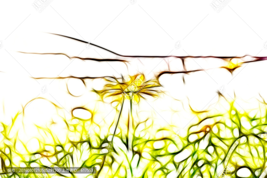 菊花叢