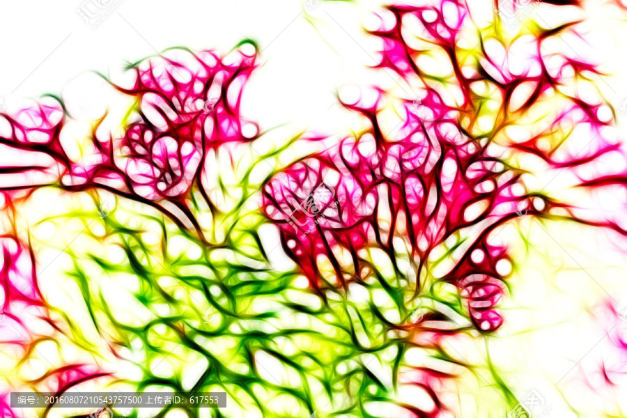 滿堂紅花卉
