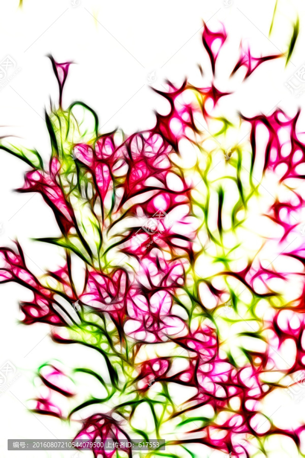 滿堂紅花卉