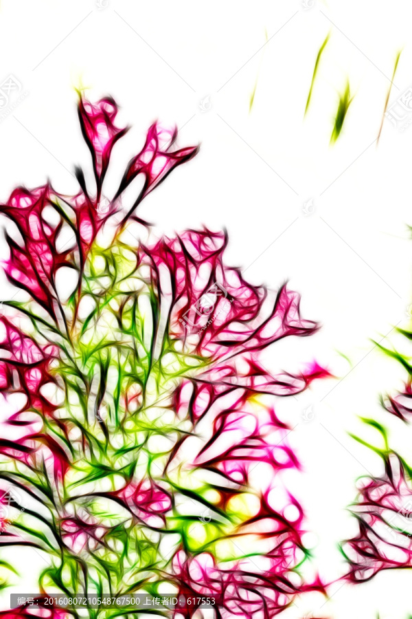 滿堂紅花卉