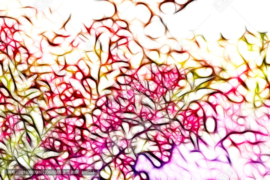 滿堂紅花卉