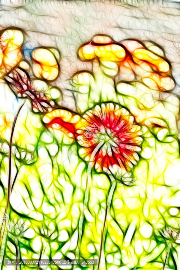 鄒菊花叢