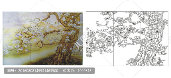 古木今,玉蘭樹