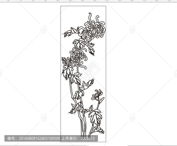 菊花