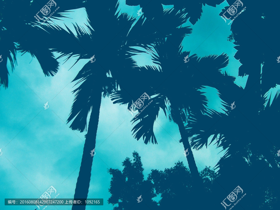 海南,椰樹(shù)剪影
