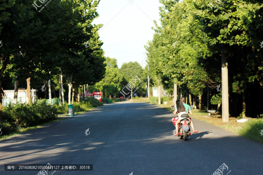 城市里的树林