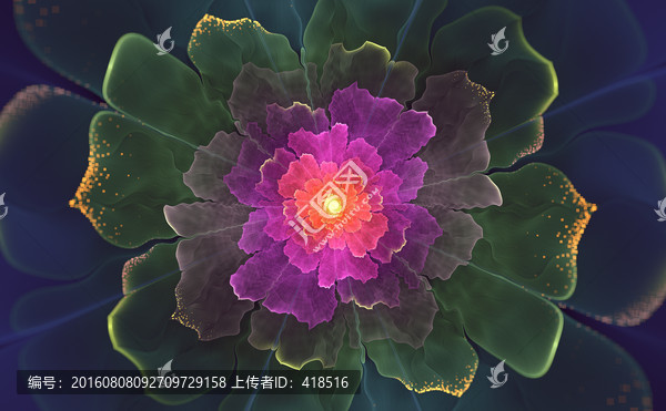花朵