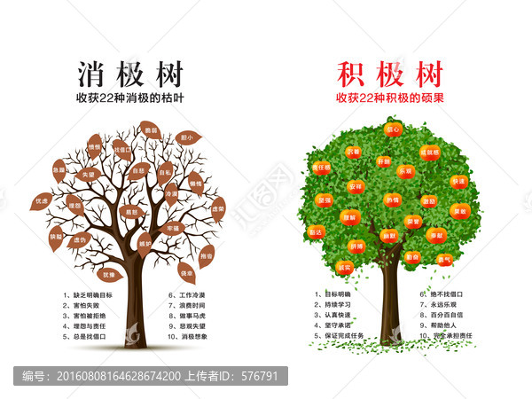 積極樹