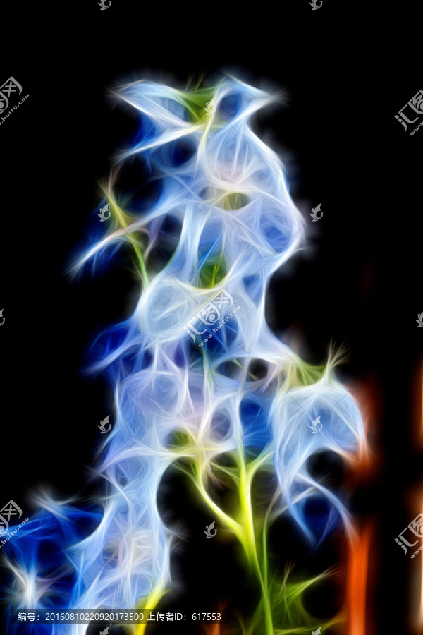 非洲紫羅蘭花束
