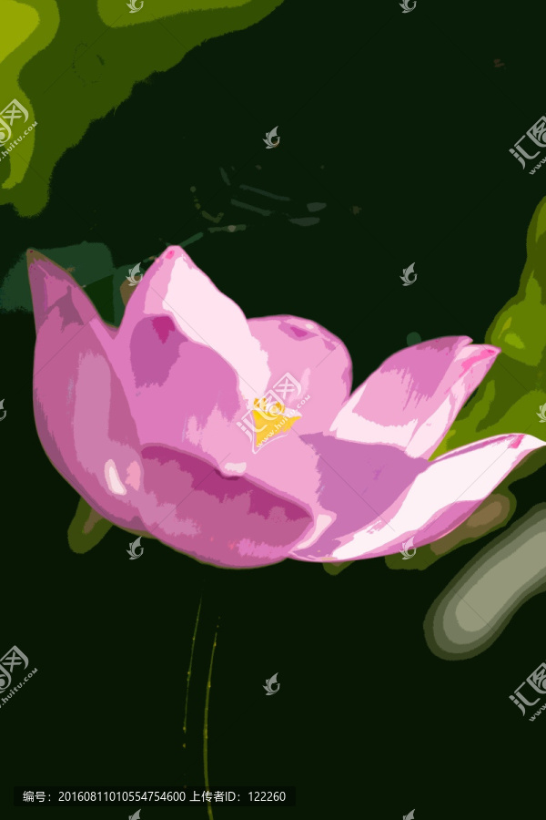荷花,荷葉