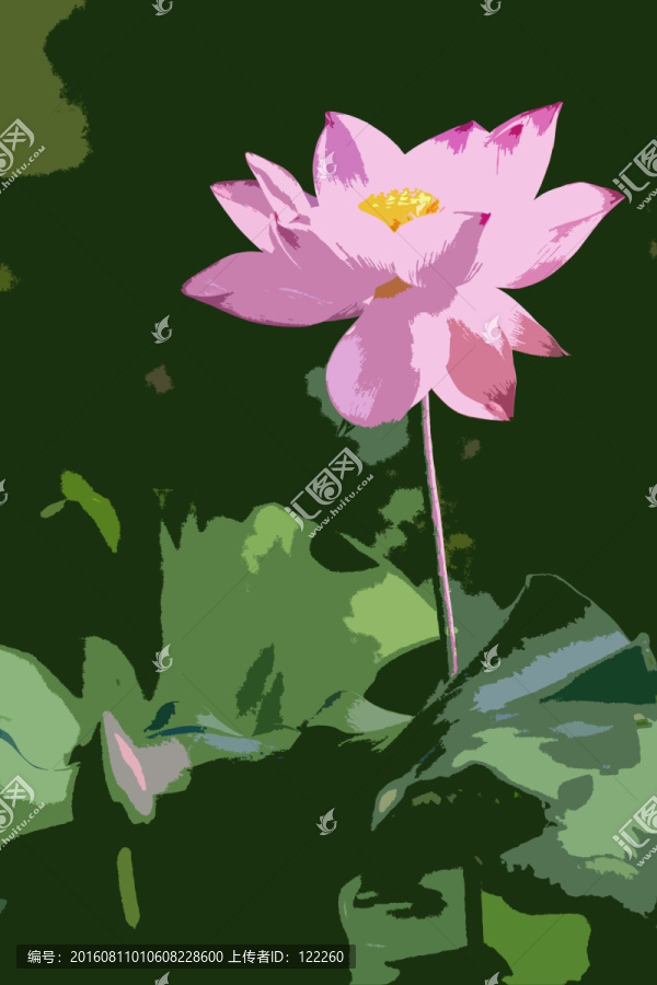 荷花