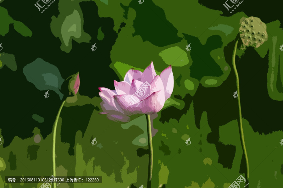 荷花,荷葉,蓮蓬