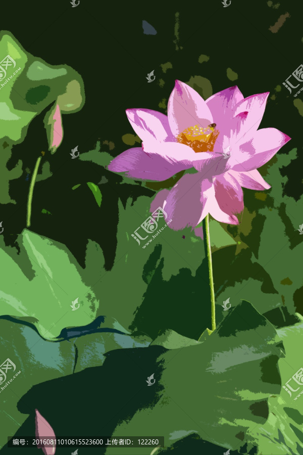 荷花,荷葉