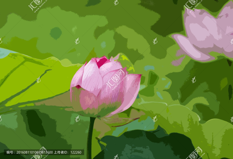 荷花,荷葉