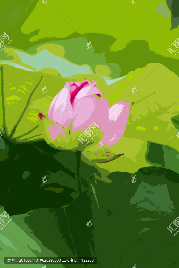荷花,荷葉
