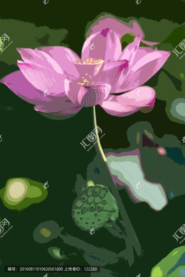荷花,蓮蓬