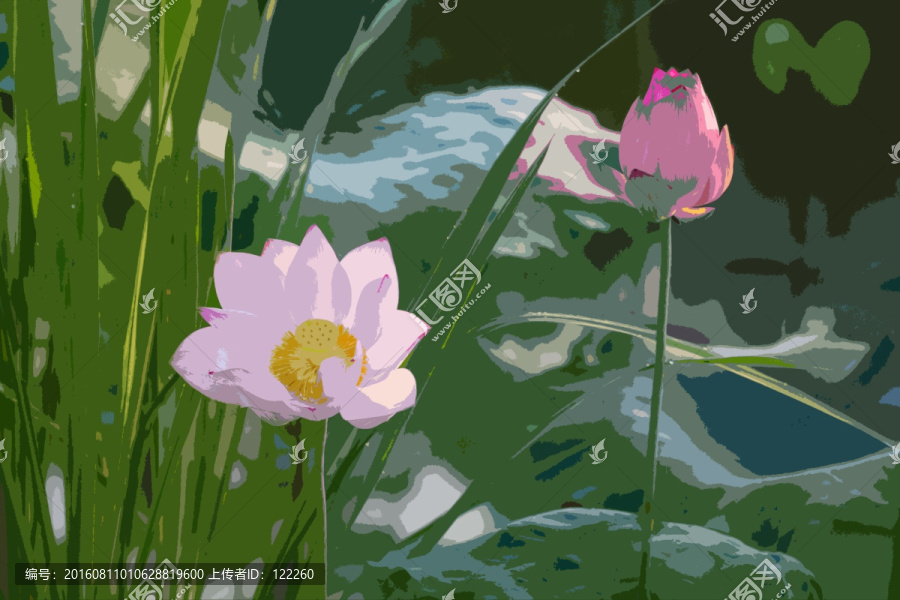 荷花