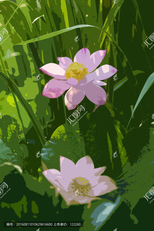 荷花,荷葉