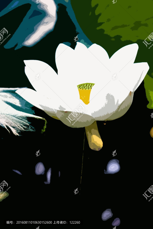 荷花,荷葉