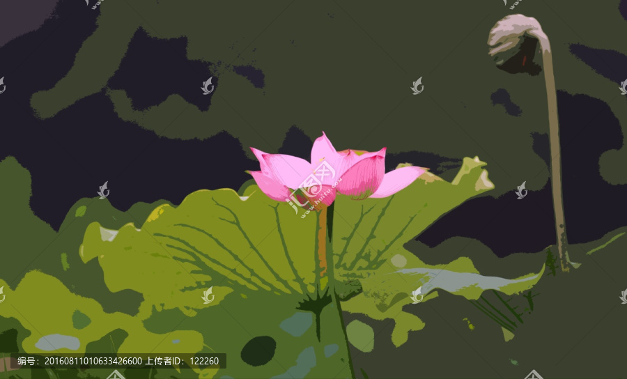 荷花,蓮蓬,荷葉
