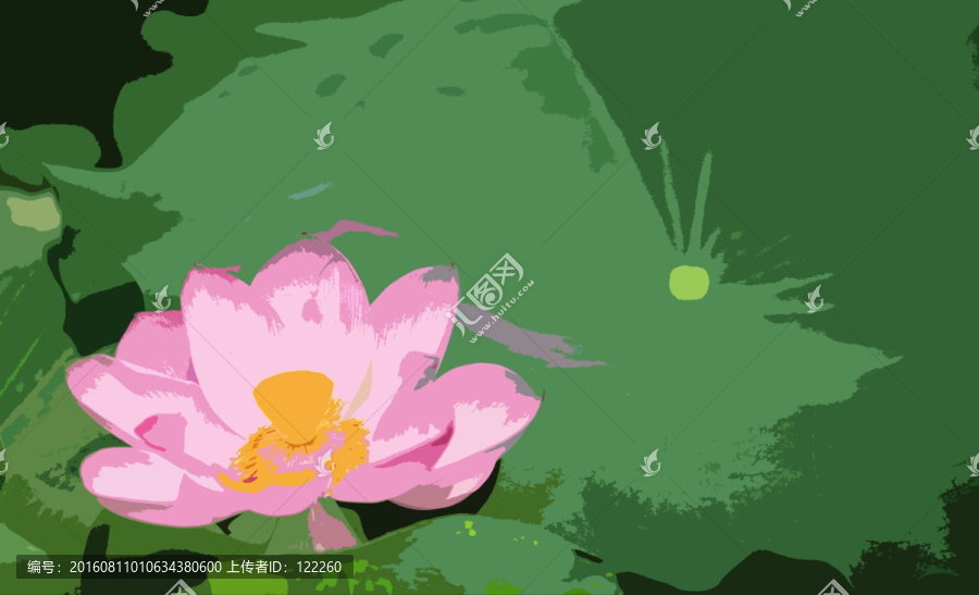 荷花,荷葉