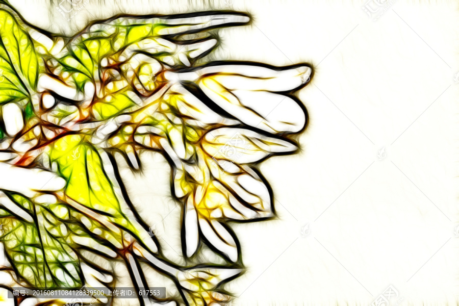 白蘭花