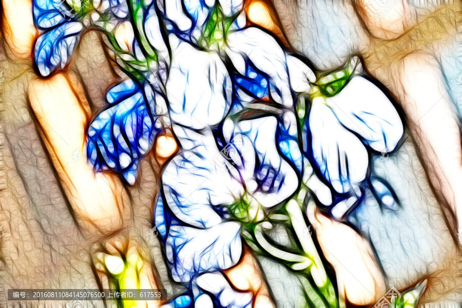 非洲紫羅蘭花束